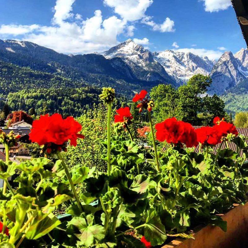 Gaestehaus Hohe Tannen Garmisch-Partenkirchen Extérieur photo